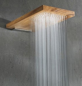 Душевой распылитель Wood Shower Head